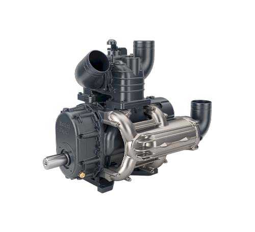 Image Versione P BLW