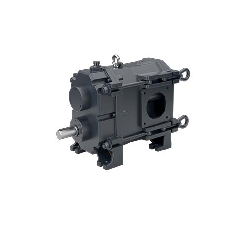 Image versione P BR EVO