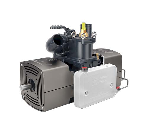 Immagine Versione FAN P