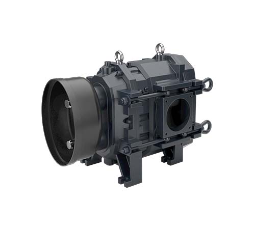 Image versione D Br evo